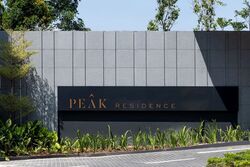 Peak Residence (D11), Condominium #529395461